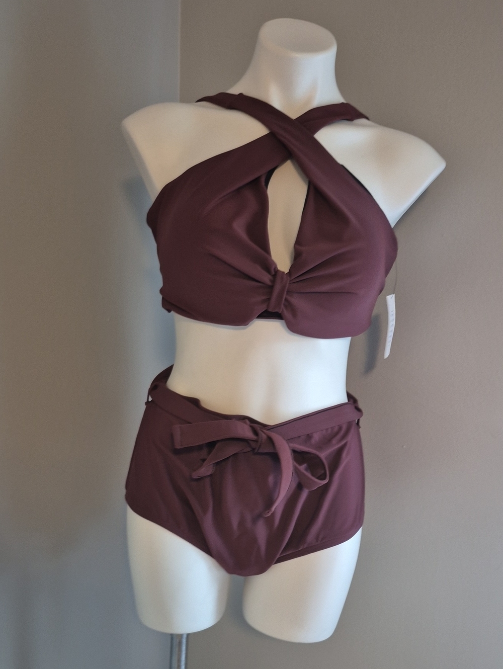 Eloquii Crisscross High-Waist Two Piece Bikini Set in Plum